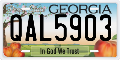 GA license plate QAL5903