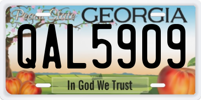 GA license plate QAL5909