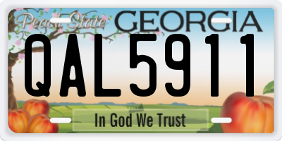 GA license plate QAL5911