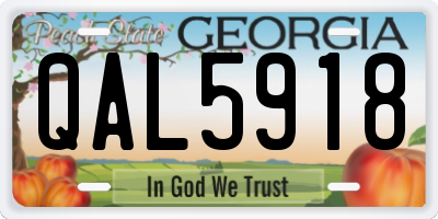 GA license plate QAL5918