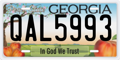 GA license plate QAL5993