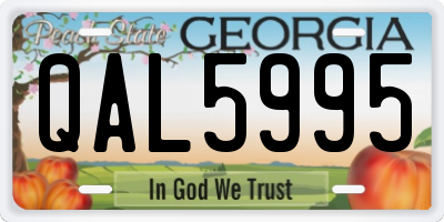 GA license plate QAL5995