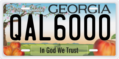 GA license plate QAL6000