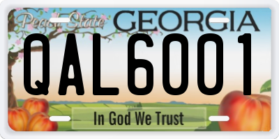 GA license plate QAL6001