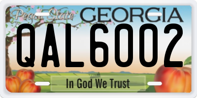 GA license plate QAL6002