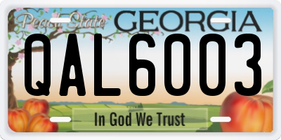 GA license plate QAL6003