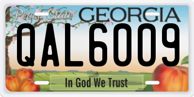 GA license plate QAL6009