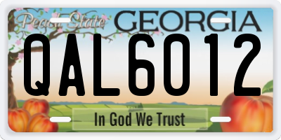 GA license plate QAL6012