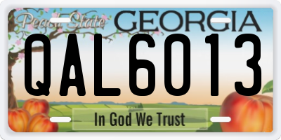 GA license plate QAL6013