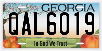 GA license plate QAL6019