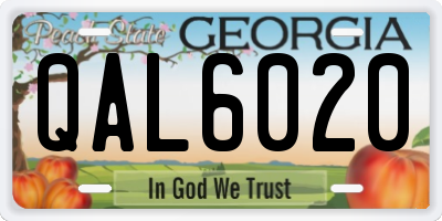 GA license plate QAL6020