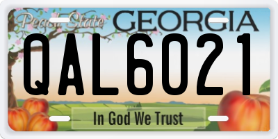 GA license plate QAL6021