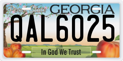 GA license plate QAL6025