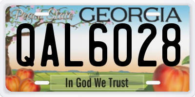 GA license plate QAL6028