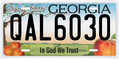 GA license plate QAL6030