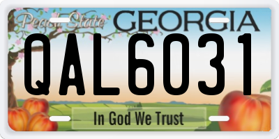 GA license plate QAL6031