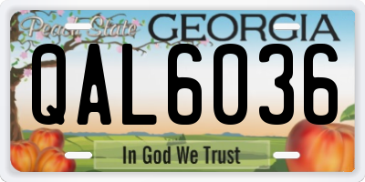 GA license plate QAL6036