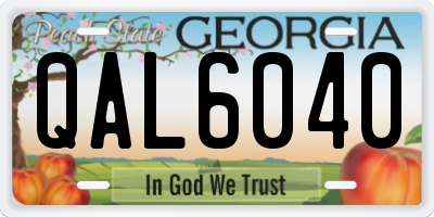 GA license plate QAL6040