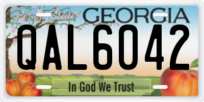 GA license plate QAL6042