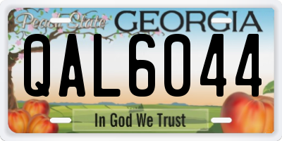 GA license plate QAL6044