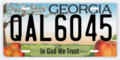 GA license plate QAL6045