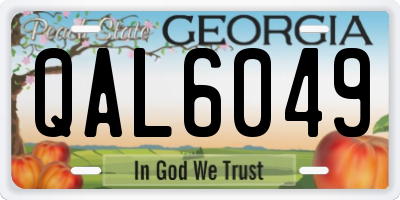 GA license plate QAL6049