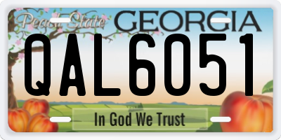 GA license plate QAL6051