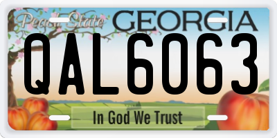 GA license plate QAL6063