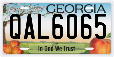 GA license plate QAL6065