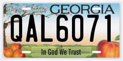 GA license plate QAL6071