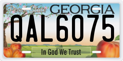 GA license plate QAL6075