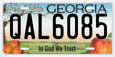 GA license plate QAL6085