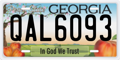 GA license plate QAL6093