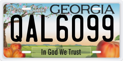 GA license plate QAL6099