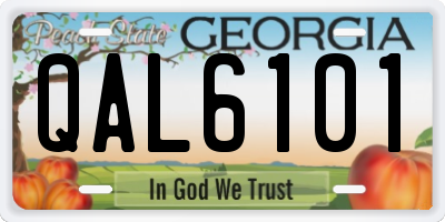 GA license plate QAL6101