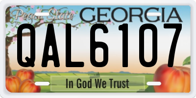 GA license plate QAL6107