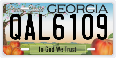 GA license plate QAL6109