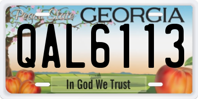 GA license plate QAL6113