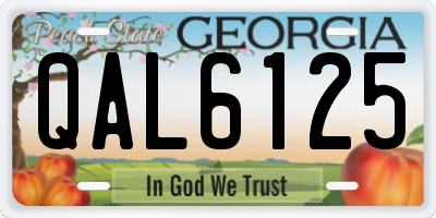 GA license plate QAL6125
