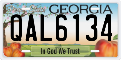GA license plate QAL6134