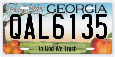 GA license plate QAL6135