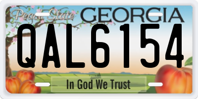 GA license plate QAL6154