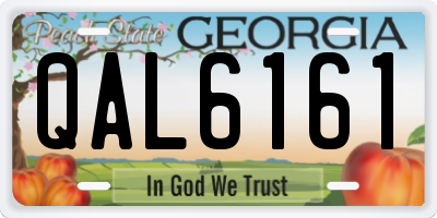 GA license plate QAL6161