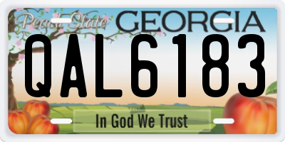 GA license plate QAL6183