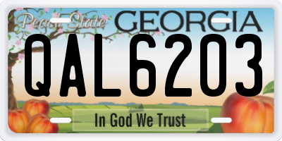 GA license plate QAL6203