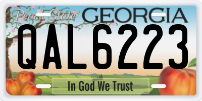 GA license plate QAL6223