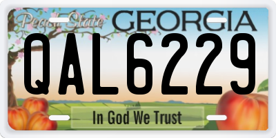 GA license plate QAL6229