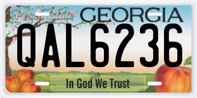 GA license plate QAL6236
