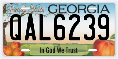 GA license plate QAL6239