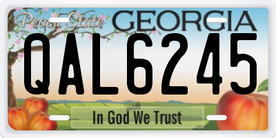 GA license plate QAL6245